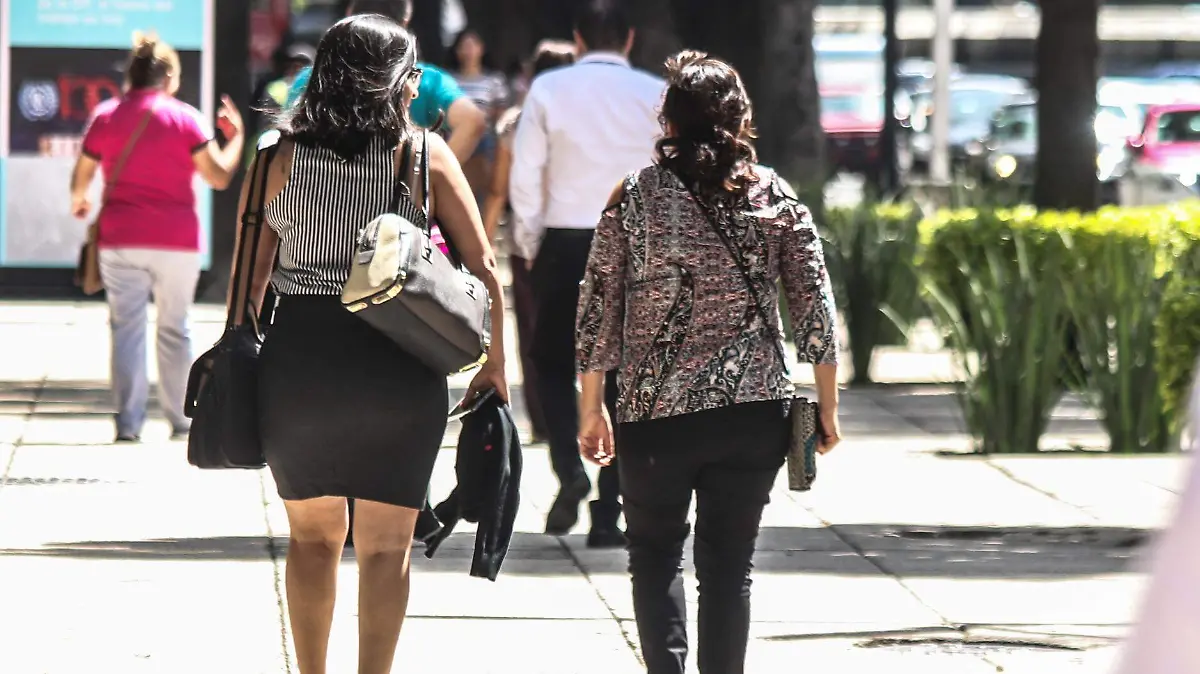 Mujeres-Inseguridad-Seguridad-Violencia de Genero (6)